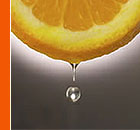 TIMEXPERT C+